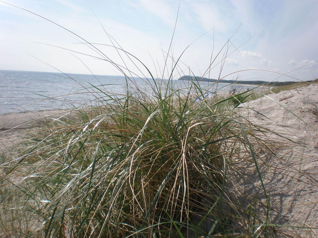 9 Ostsee-ferienwohnung-sellin